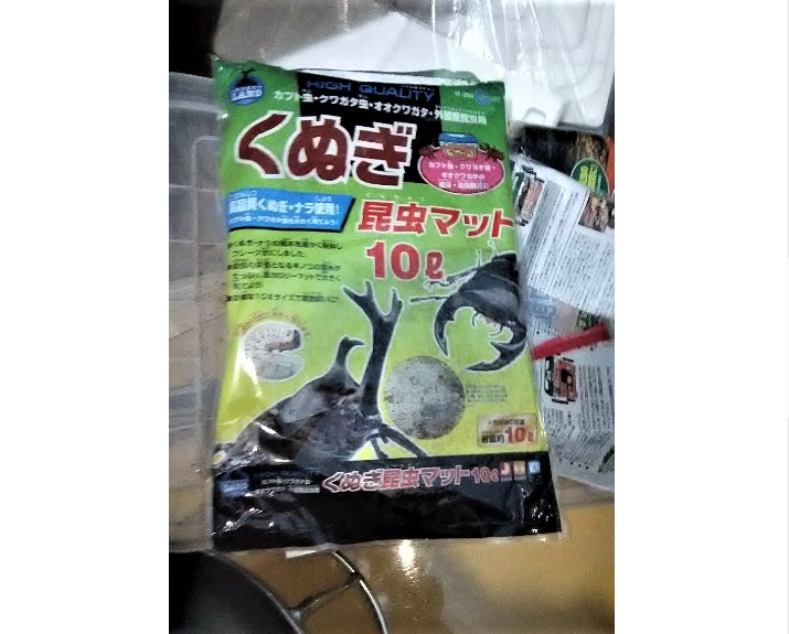 昆虫マット画像